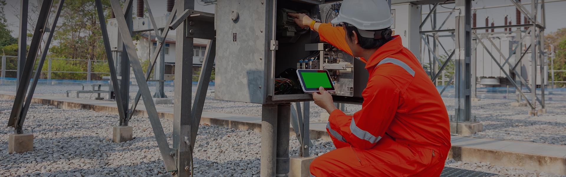 Electrical work at Oakland Zoo; Generac Generator installation project